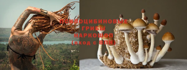 герыч Гусь-Хрустальный