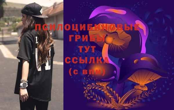 герыч Гусь-Хрустальный
