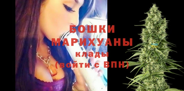 PSILOCYBIN Гусиноозёрск